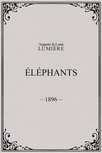 Elephants